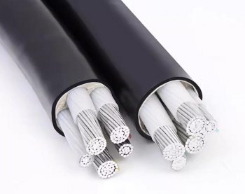 國內電線電纜主要執行的兩個標準。